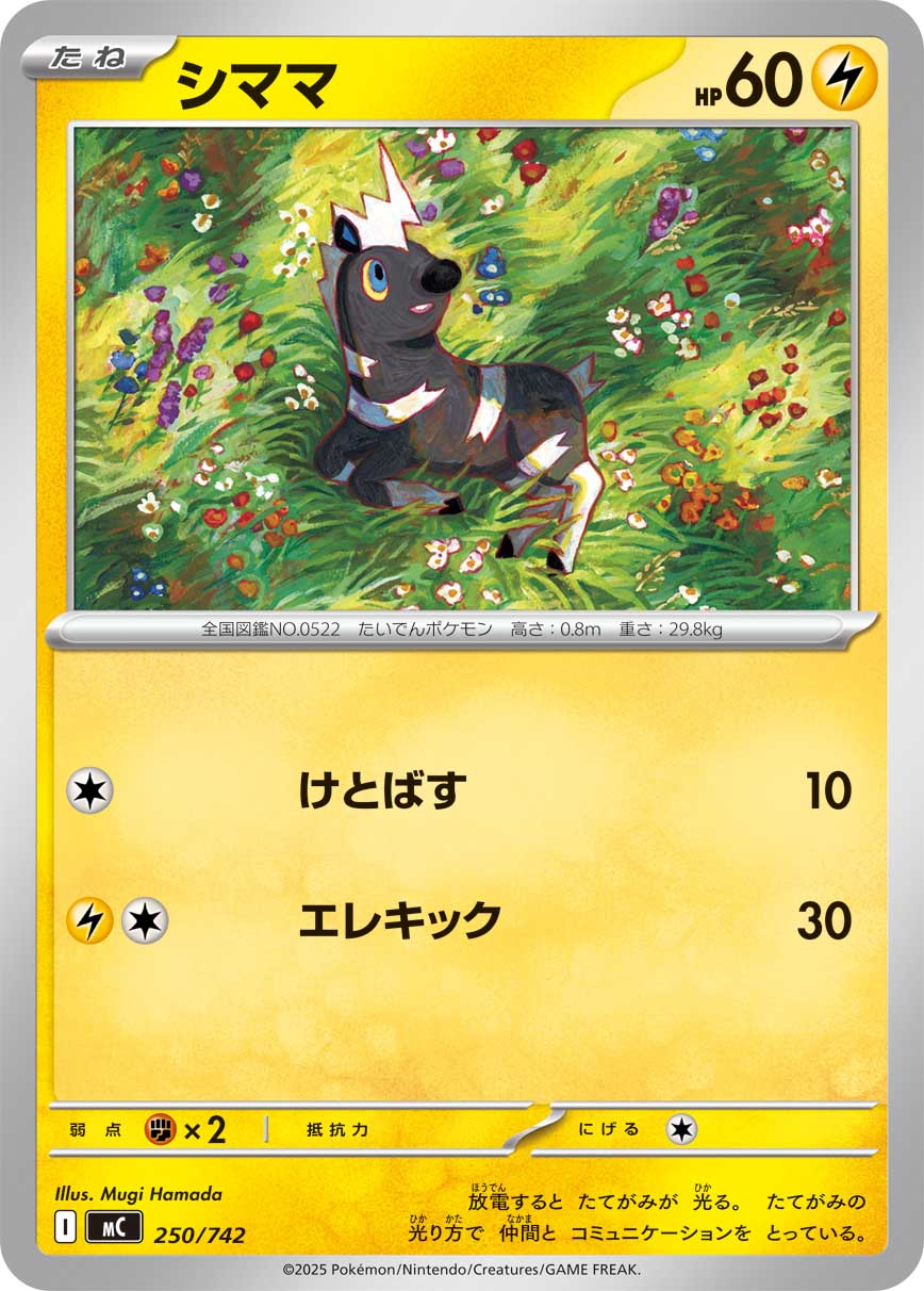 #250/742 斑斑馬 シママ Blitzle