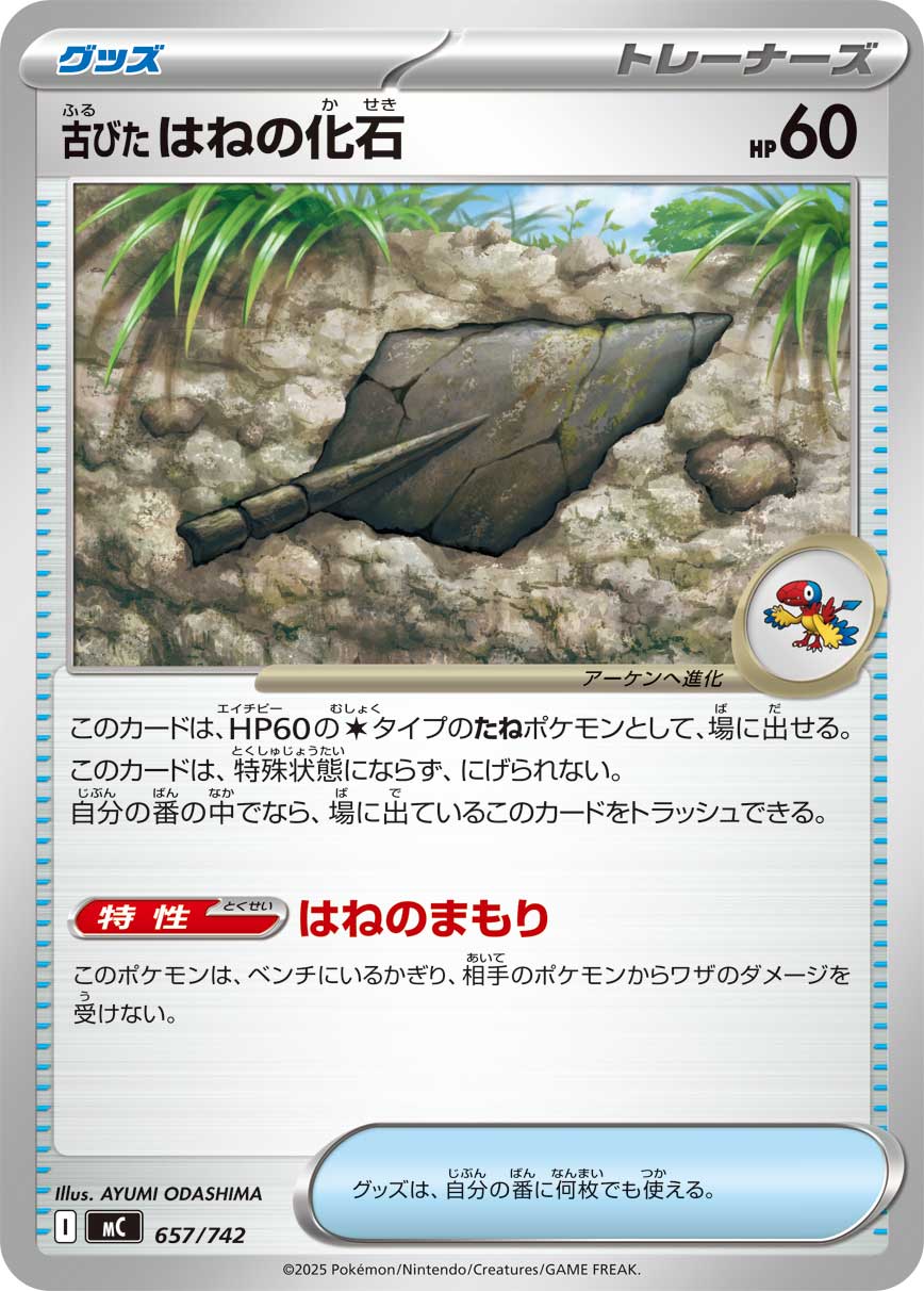 #657/742 陳舊的羽毛化石 古びたはねの化石 Antique Plume Fossil