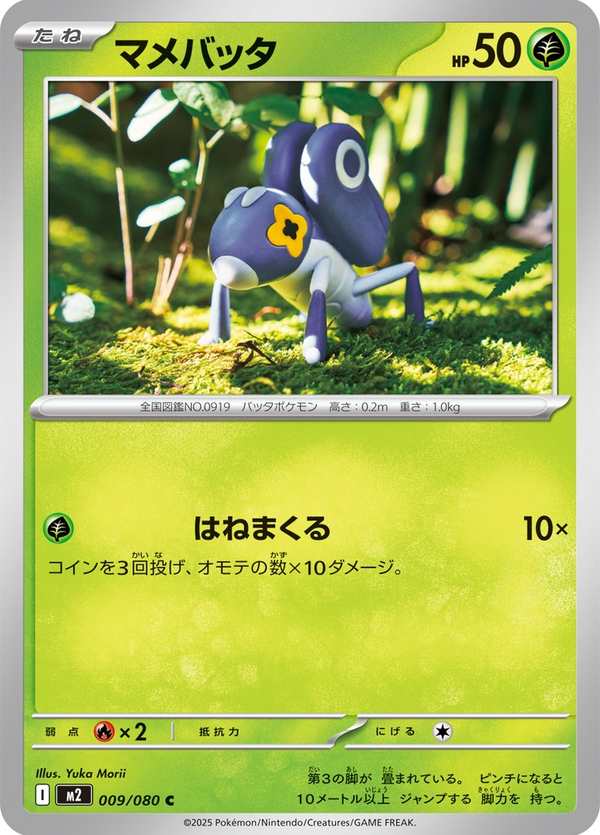 #009 豆蟋蟀 マメバッタ Nymble
