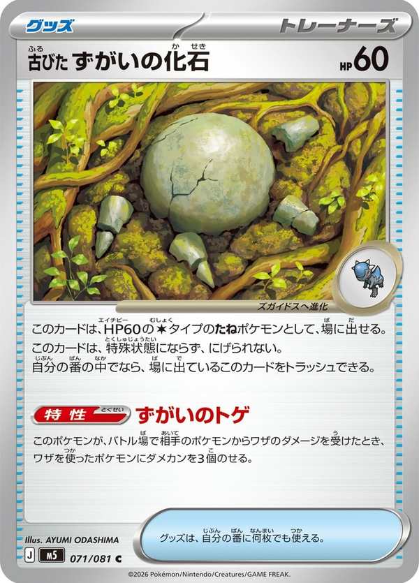 #071 陳舊的頭蓋化石 古びたずがいの化石 Antique Skull Fossil