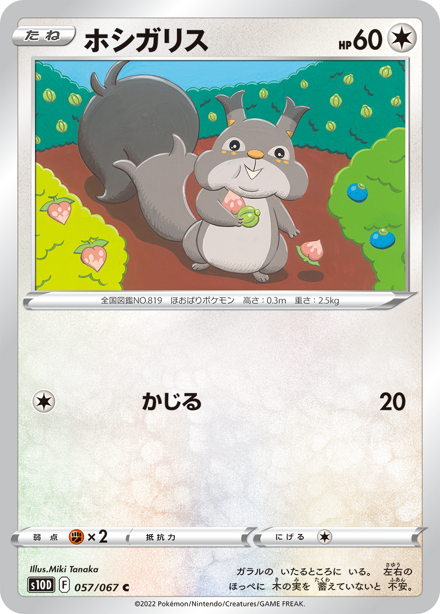 #057/067 貪心栗鼠 ホシガリス Skwovet