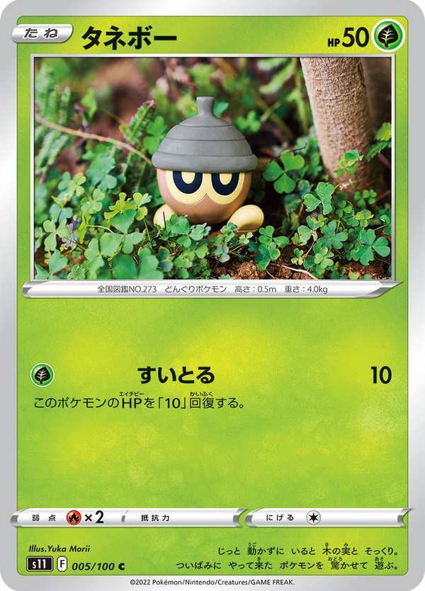 #005 橡實果 タネボー Seedot