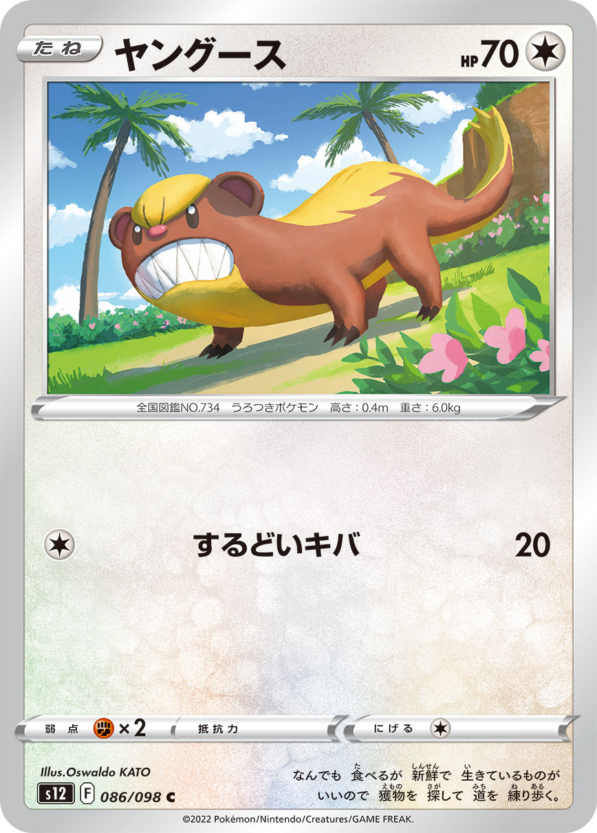 #086/098 貓鼬少 ヤングース Yungoos