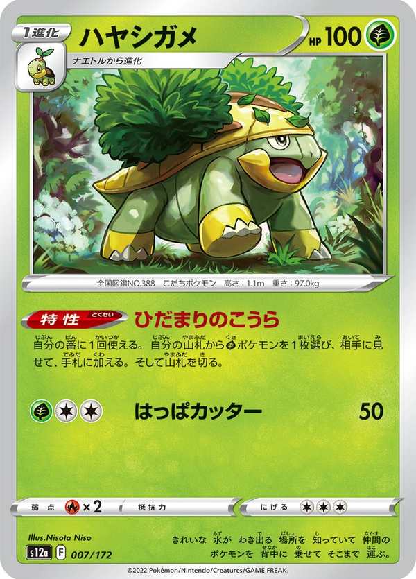 #007 樹林龜 ハヤシガメ Grotle