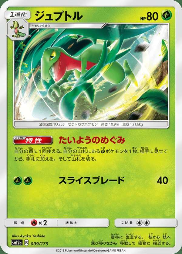 #009 森林蜥蜴 ジュプトル Grovyle