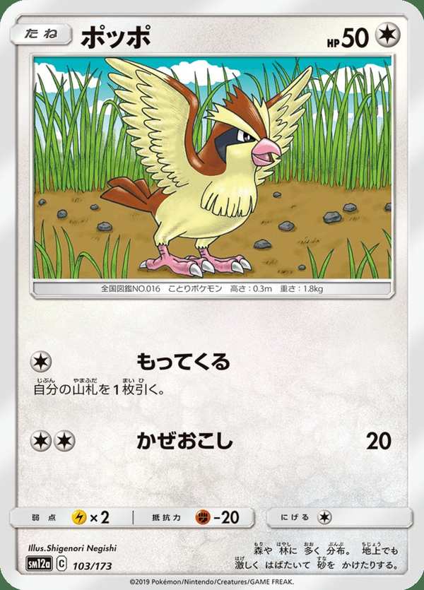 #103 波波 ポッポ Pidgey