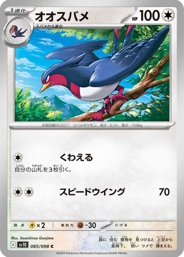 #085 大王燕 オオスバメ Swellow