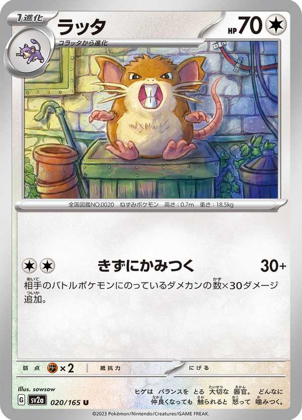 #020 拉達 ラッタ Raticate
