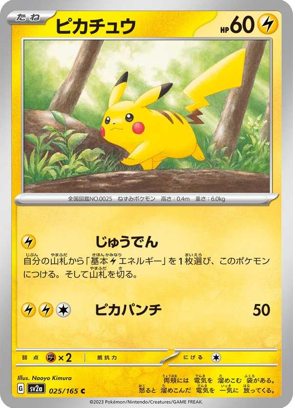 #025 皮卡丘 ピカチュウ Pikachu
