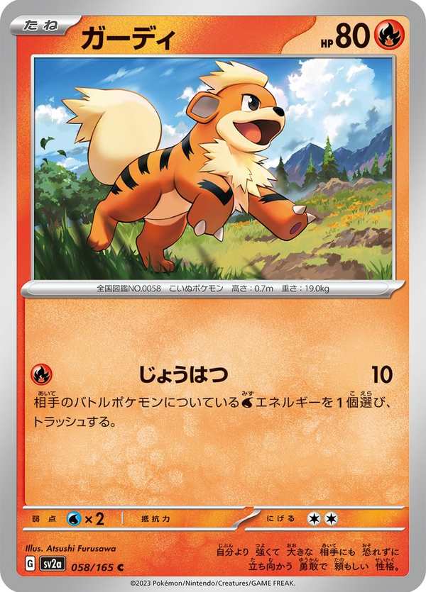 #058 卡蒂狗 ガーディ Growlithe