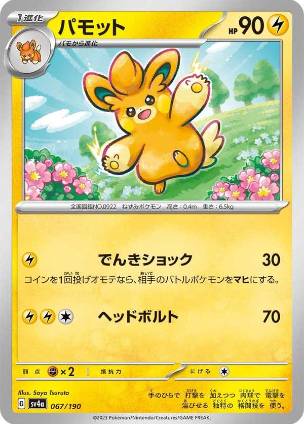 #067 布土撥 パモット Pawmo