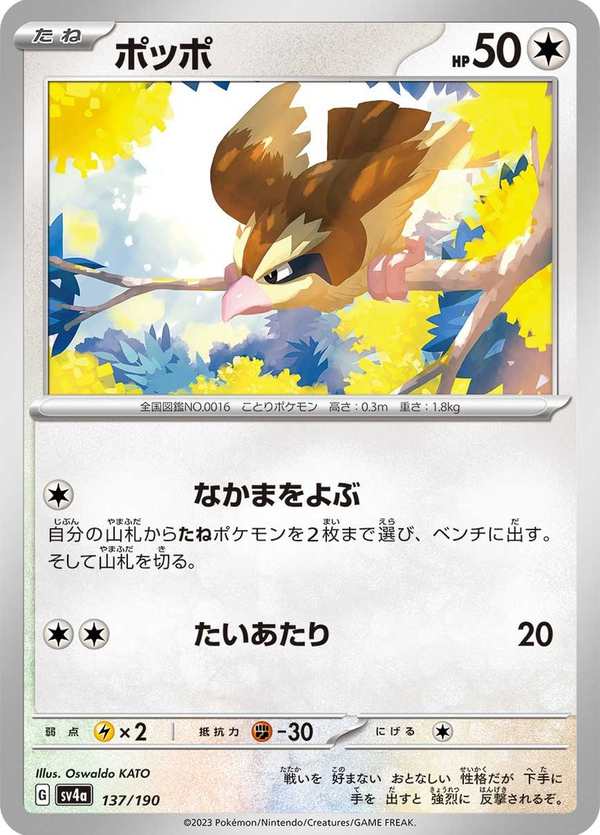 #137 波波 ポッポ Pidgey