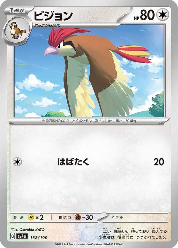 #138 比比鳥 ピジョン Pidgeotto