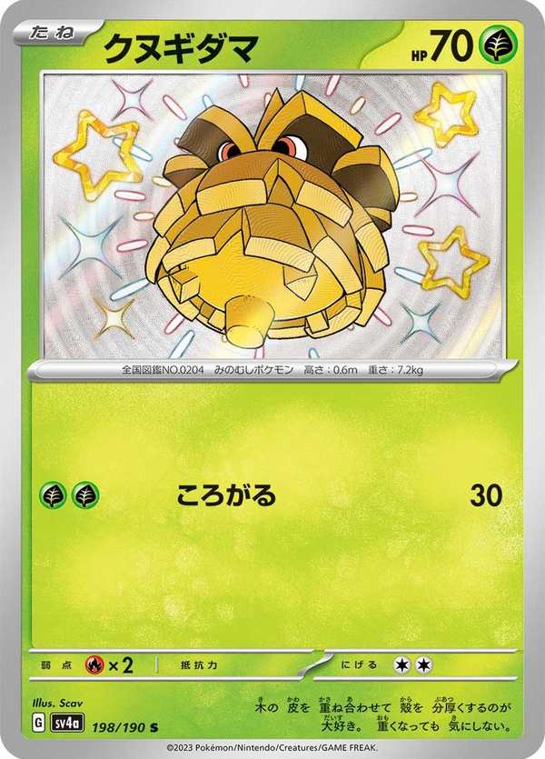 #198 榛果球 クヌギダマ Pineco