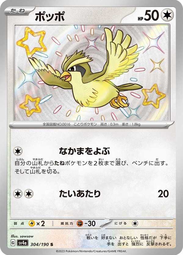 #304 波波 ポッポ Pidgey